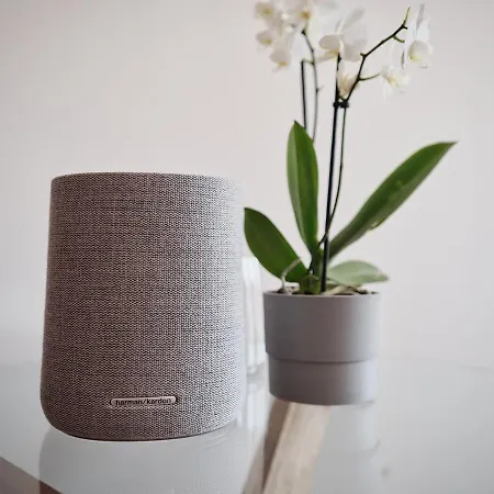 Moment Adults Only Saint Wolfgang