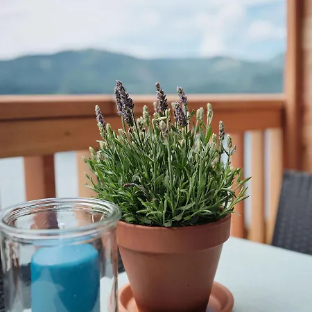 Moment Adults Only *