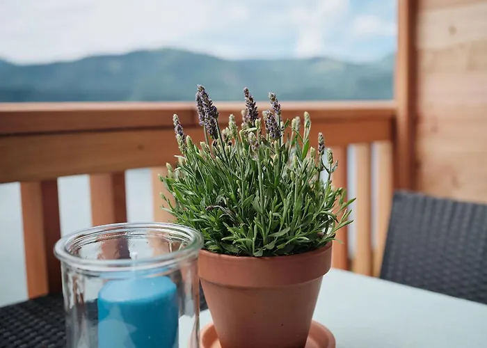 Moment Adults Only *