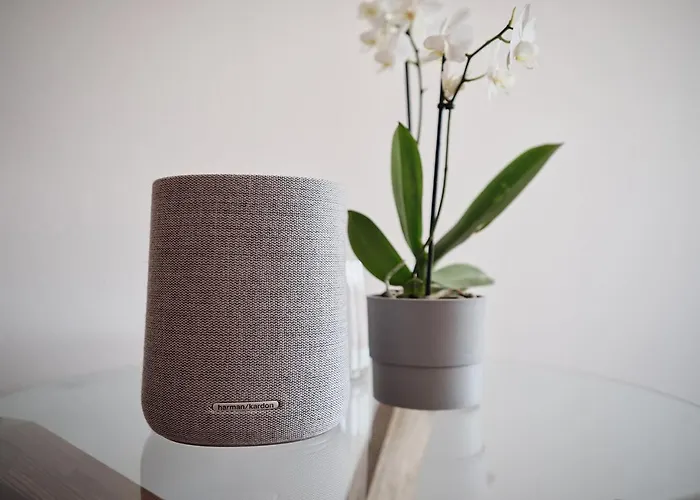 Moment Adults Only Saint Wolfgang